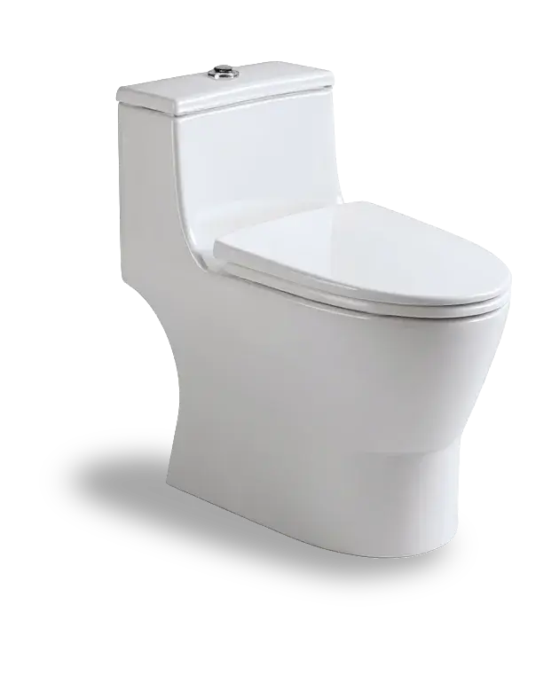 INODORO DE UNA PIEZA BLANCO TANQUE MEDIANO